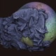 Illustration for article titled The Strange Stories Behind the Years Best Scientific Images